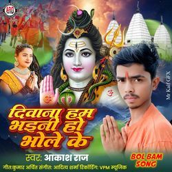 DEEWANA HAM BHAINI BHOLE KE