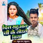 Dil Sahuwan Je Ke Todale Biya