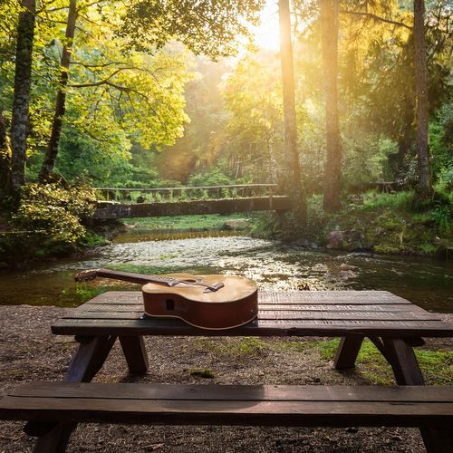 Felicidad En La Guitarra: Melodías De Relajación De Spa