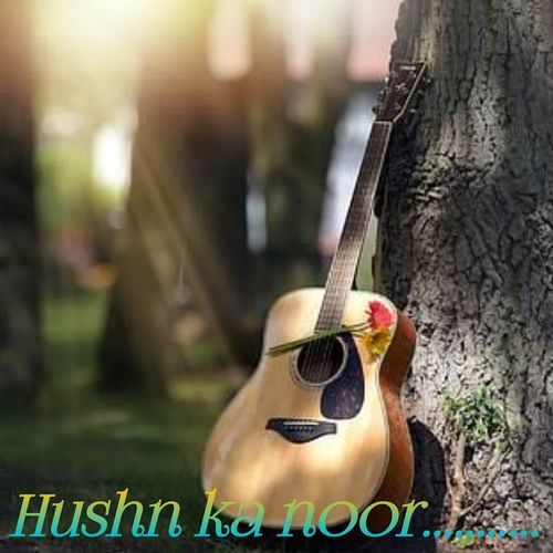 Hushn Ka Noor