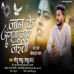 Jan Ke Angana Utar Jaiti