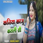 Kaniya Kaju Katli Si