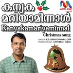 Kanyakamariyaminnal artwork