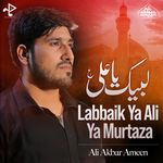 Labbaik Ya Ali Ya Murtaza