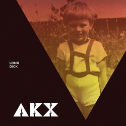  AKX