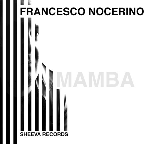 Mamba cover art