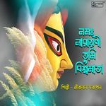 Namoh Narayani Tumi Bishwamata