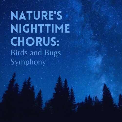 Nocturnal Harmonies: Whispers in the Dark cover art