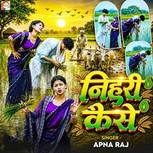 Nihuri Kaise