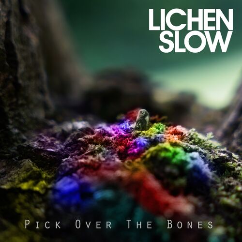 Pick Over The Bones cover art