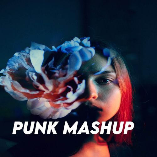 Punk Mashup_poster_image