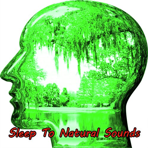 Sleep To Natural Sounds