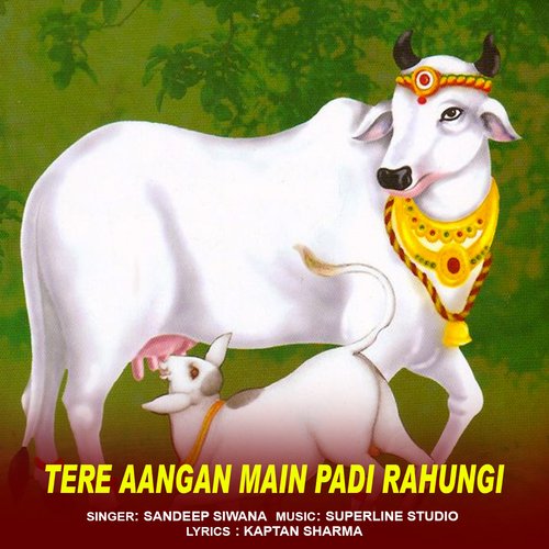 Tere Aangan Main Padi Rahungi