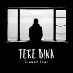 Tere Bina