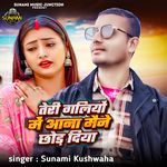 Teri Galiyon Me Aana Maine Chhod Diya