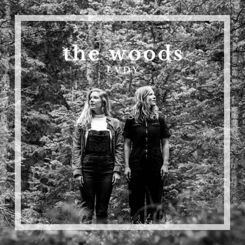 The Woods cover art