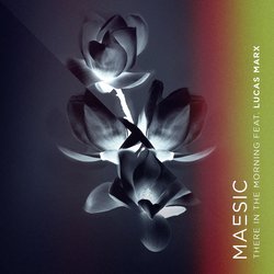 Maesic