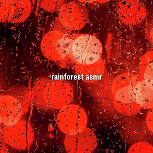 forest rain ambience cover art