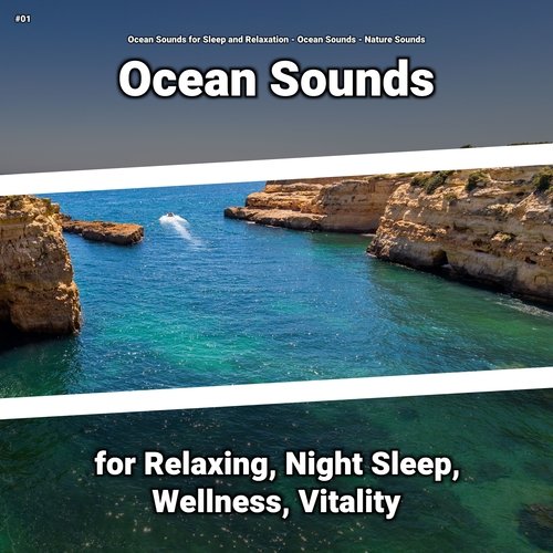 Ocean Waves Sounds cover art