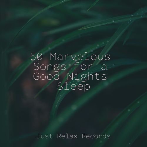 50 Marvelous Songs for a Good Nights Sleep_poster_image