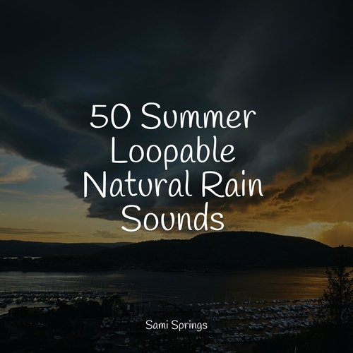 Rain, Storm and Thunder cover art