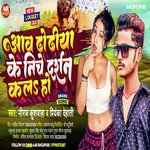 Aaw Dhodhiye Ke Niche Darshan Kal ho