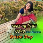 Amar Bondhu Chikon Kaliya (Live Version)