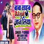 Baba Sahab Maine Tumhe Jan Liya (Hindi)