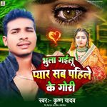 Bhula Gailu Pyar Sab Pahile Ke Gori