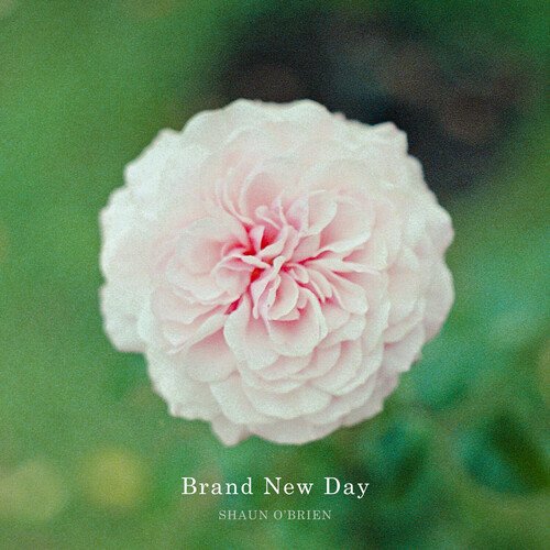 Brand New Day