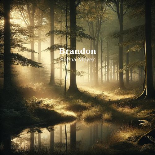 Brandon cover art