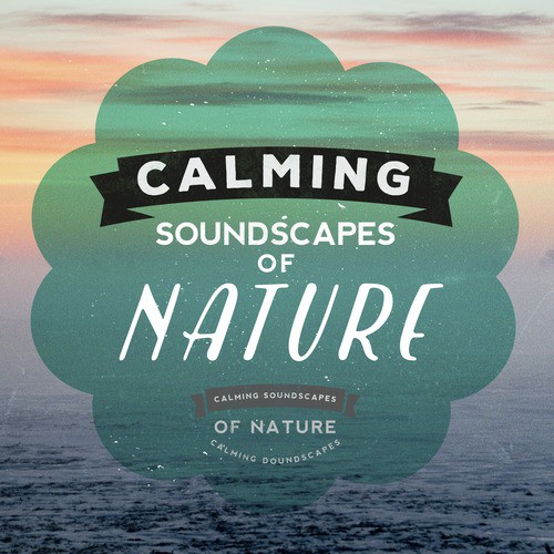 Calming Soundscapes of Nature_poster_image