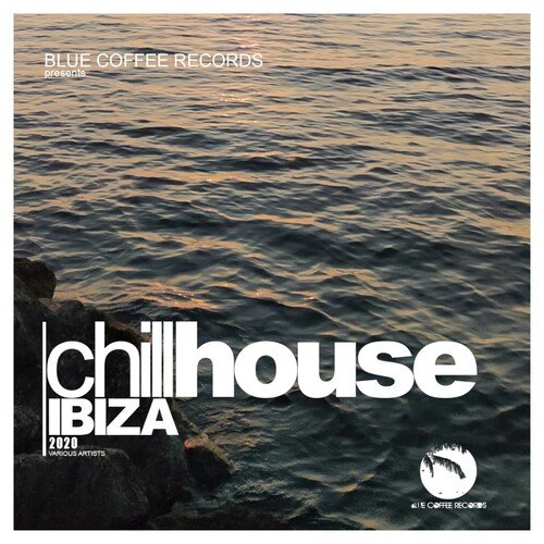 Chill House Ibiza 2020 (Continuous DJ Mix) cover art