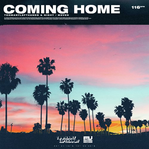 Coming Home_poster_image