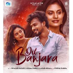 Dil Banjara-ExI0VBZ5AlU