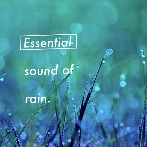 Essential Sound of Rain