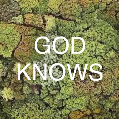 God Knows Song Download From God Knows Jiosaavn