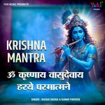 Krishna Mantra - Om Krishnaya Vasudevaya Haraye Paramatmane