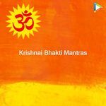 Krishnai Bhakti Mantras_poster_image