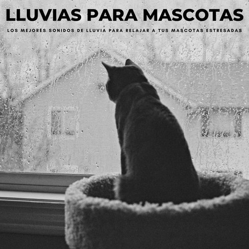 Mi Mascota cover art