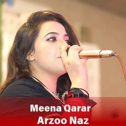 Meena Qarar-SSE,RjIddnA