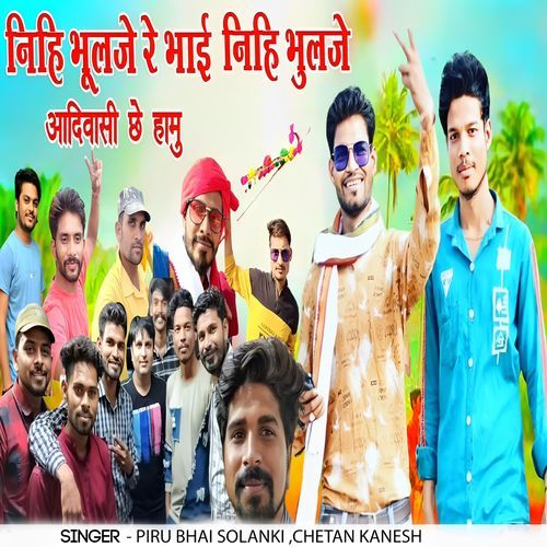 Nihi Bhulje Re Bhai Nihi Bhulje Adivasi Che Hamu cover art