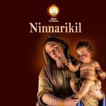 Ninnarikil