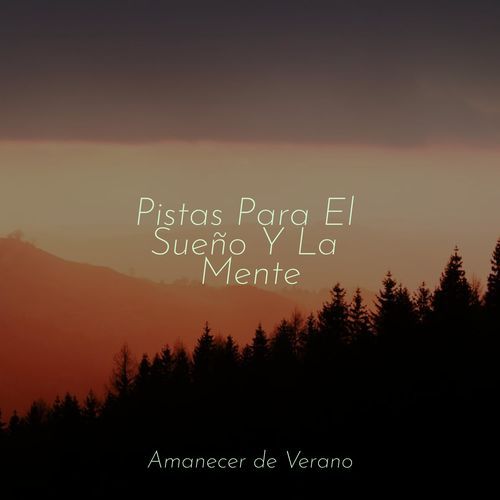 Pistas Para El Sueño Y La Mente_poster_image