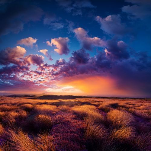 Serenity Painted In Gentle Harmonic Layers