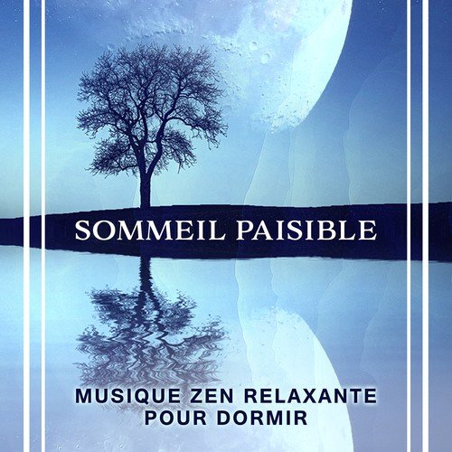 Musique relaxante pour bébé cover art
