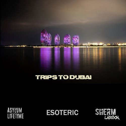 Trips to Dubai