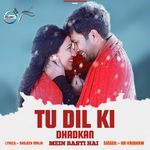 Tu Dil Ki Dhadkan Mein Basti Hai