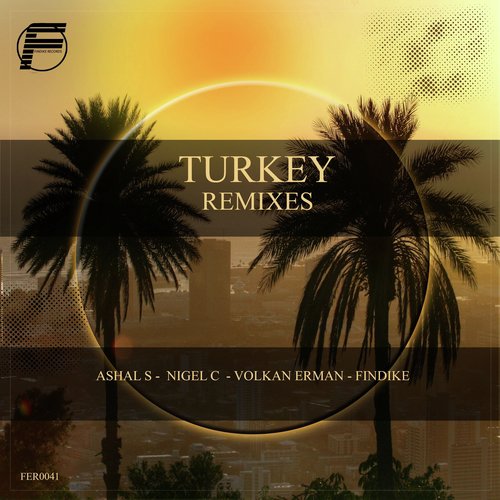 Turkey Remixes (Remixes)_poster_image