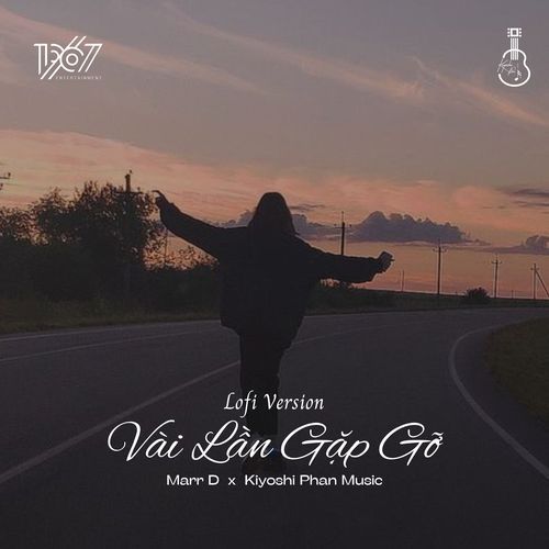 Vài Lần Gặp Gỡ (Lofi Version)_poster_image